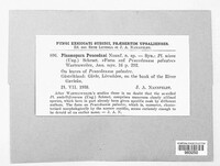 Image Associated With the Occurence